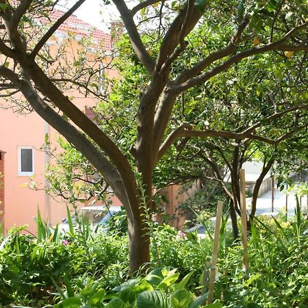 Apartment Podgora 518B Exterior photo
